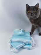 Маска защитная 3-х слойная одноразовая, голубая, в уп. 50 шт