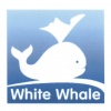 White Whale